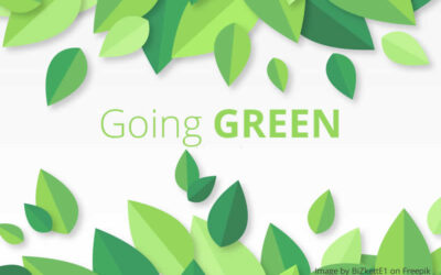 7 steps to a greener future – play your part by following our green tips