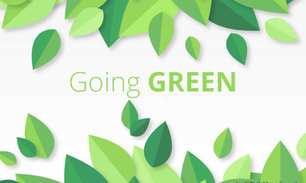 7 steps to a greener future – play your part by following our green tips