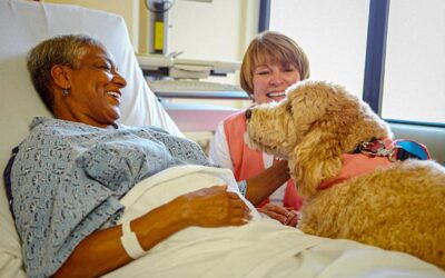 The power of pet therapy