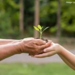 Caring for the environment – small steps make a difference