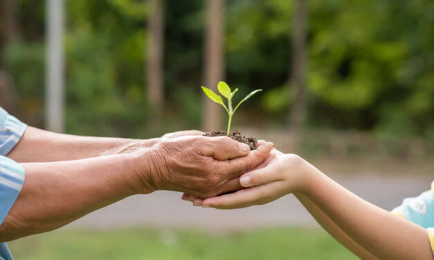 Caring for the environment – small steps make a difference