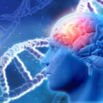 Brain health