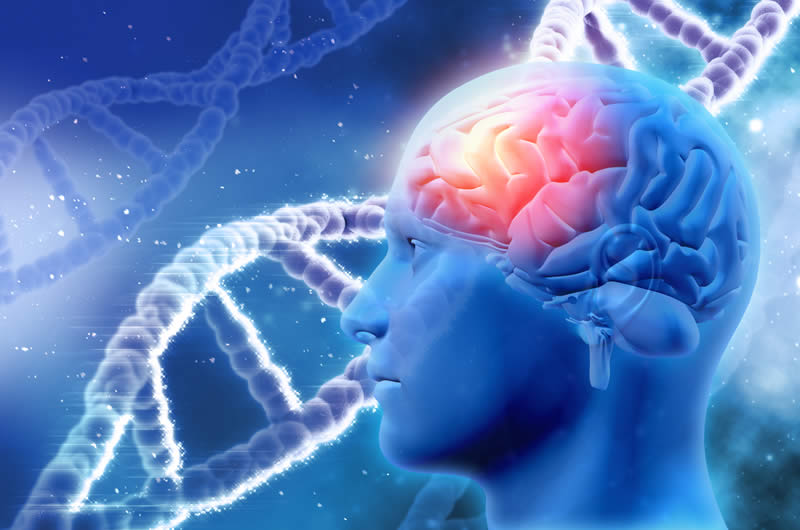 Brain health: everyday habits that could be harming your brain