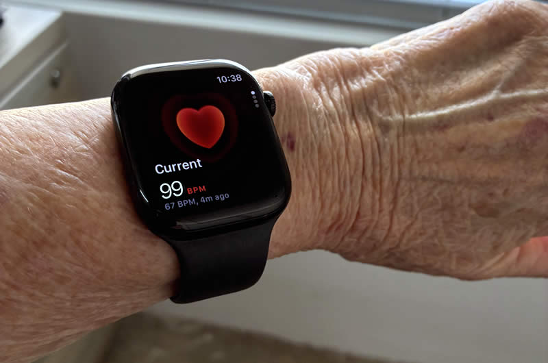 heart rate shows on smart watch